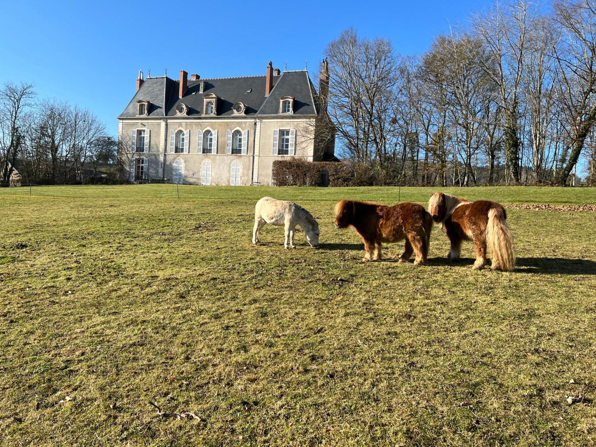 Chateau De Vaux Morvan Etang-sur-Arroux Exterior photo